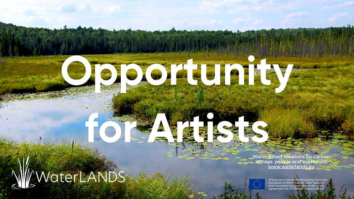 Image of wetlands with text opportunity for artists
